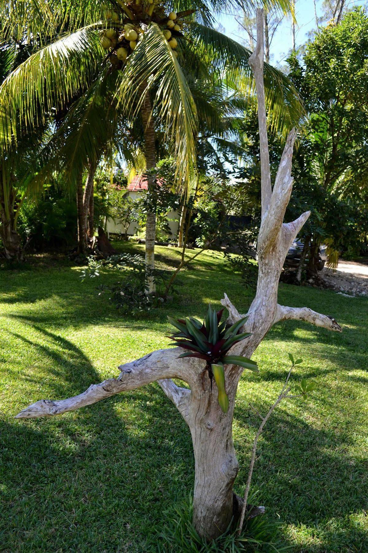 Hotel Casa Caracol Bacalar Exterior foto